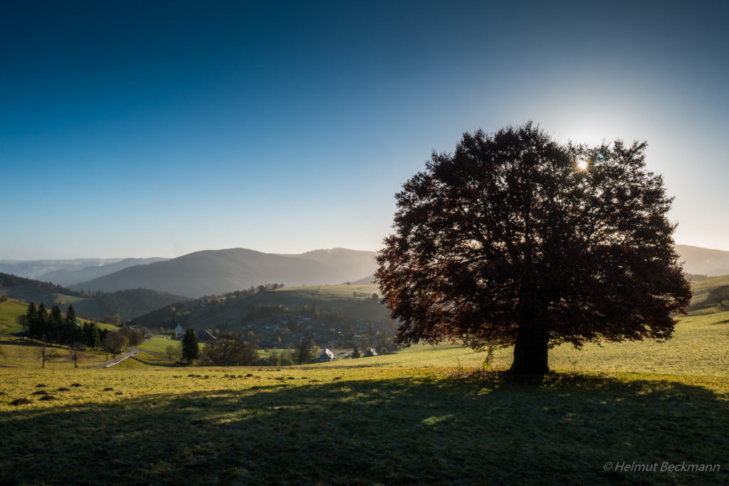 Schauinsland